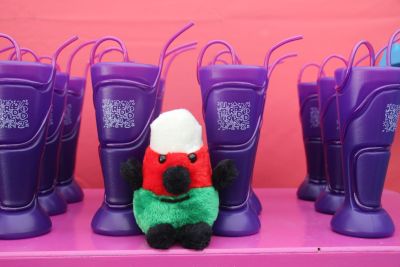 Hen degan Mistar Urdd.JPG